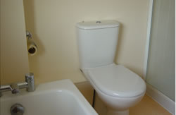 toilet